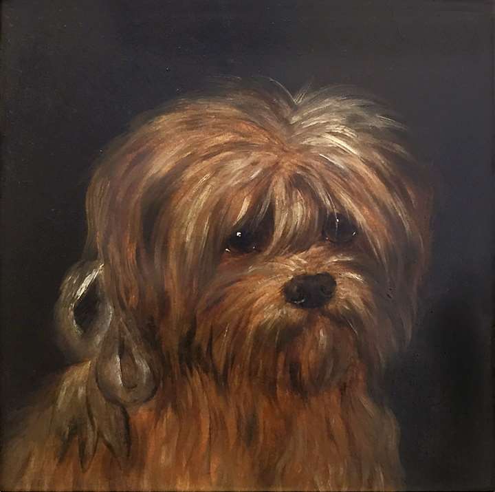 Study of a Scottish Terrier